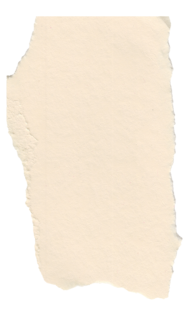 撕纸毛边纸片 纸张边缘效果的创意魅力